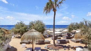 Ein Strand mit Reetdachschirmen, Liegestühlen und einer Palme.