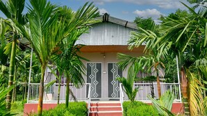 Unclassified image, 2 of 18, button - Rahaman Farm House Lataguri Murti (Mal)