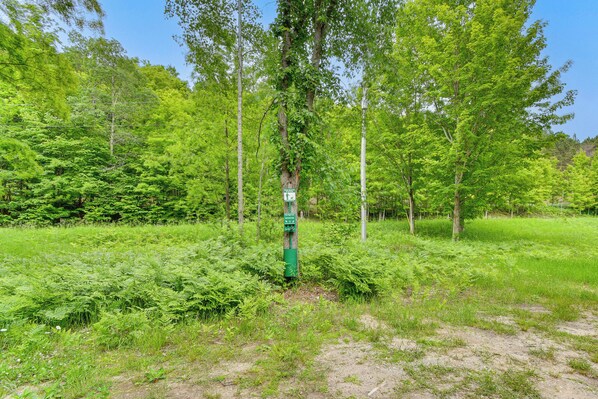 A natural setting with a green signpost, dense greenery, and trees. - Explore Lakes & Beaches! Creekside Glen Arbor Home (Glen Arbor)