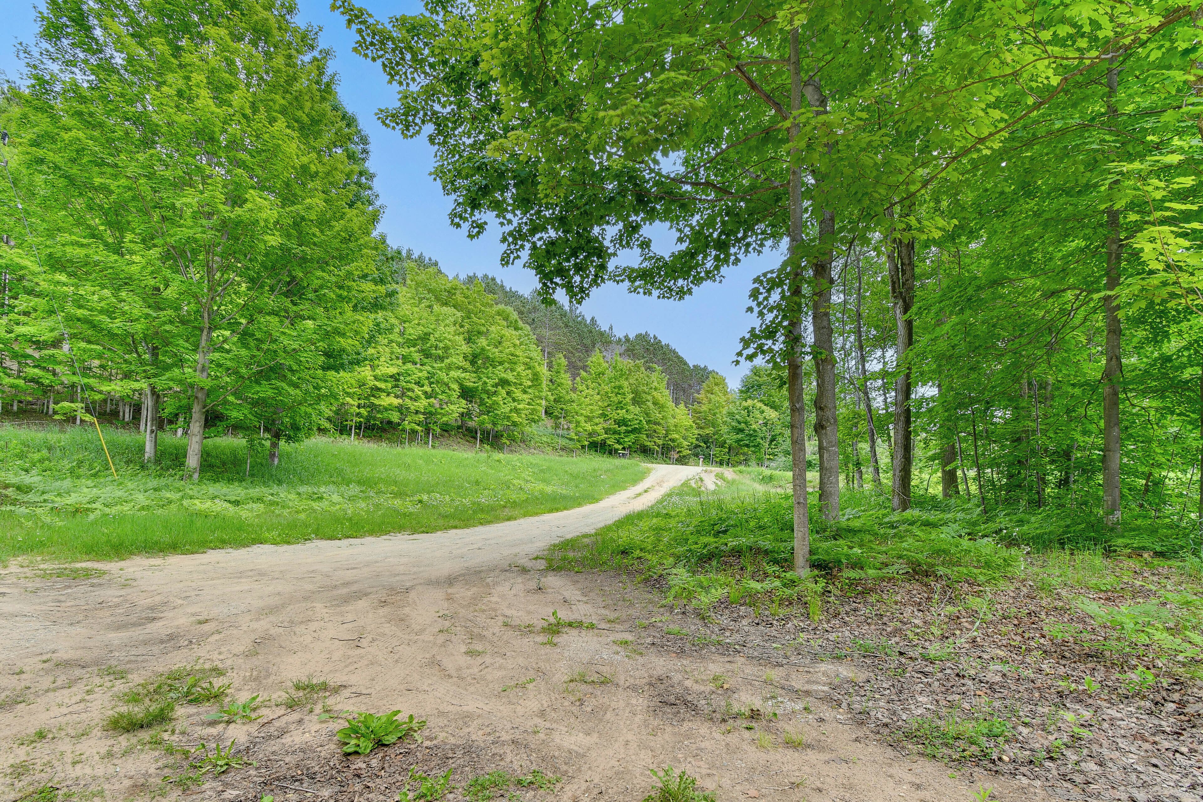 A dirt path through a forest with trees on both sides.