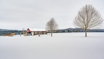 Ferienhaus (2 Bedrooms) | Innenbereich