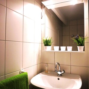 Shower, hair dryer, towels, toilet paper