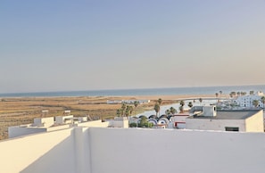A coastal view with buildings, a beach, and palm trees. - The little Loft    . (Conil de la Frontera)