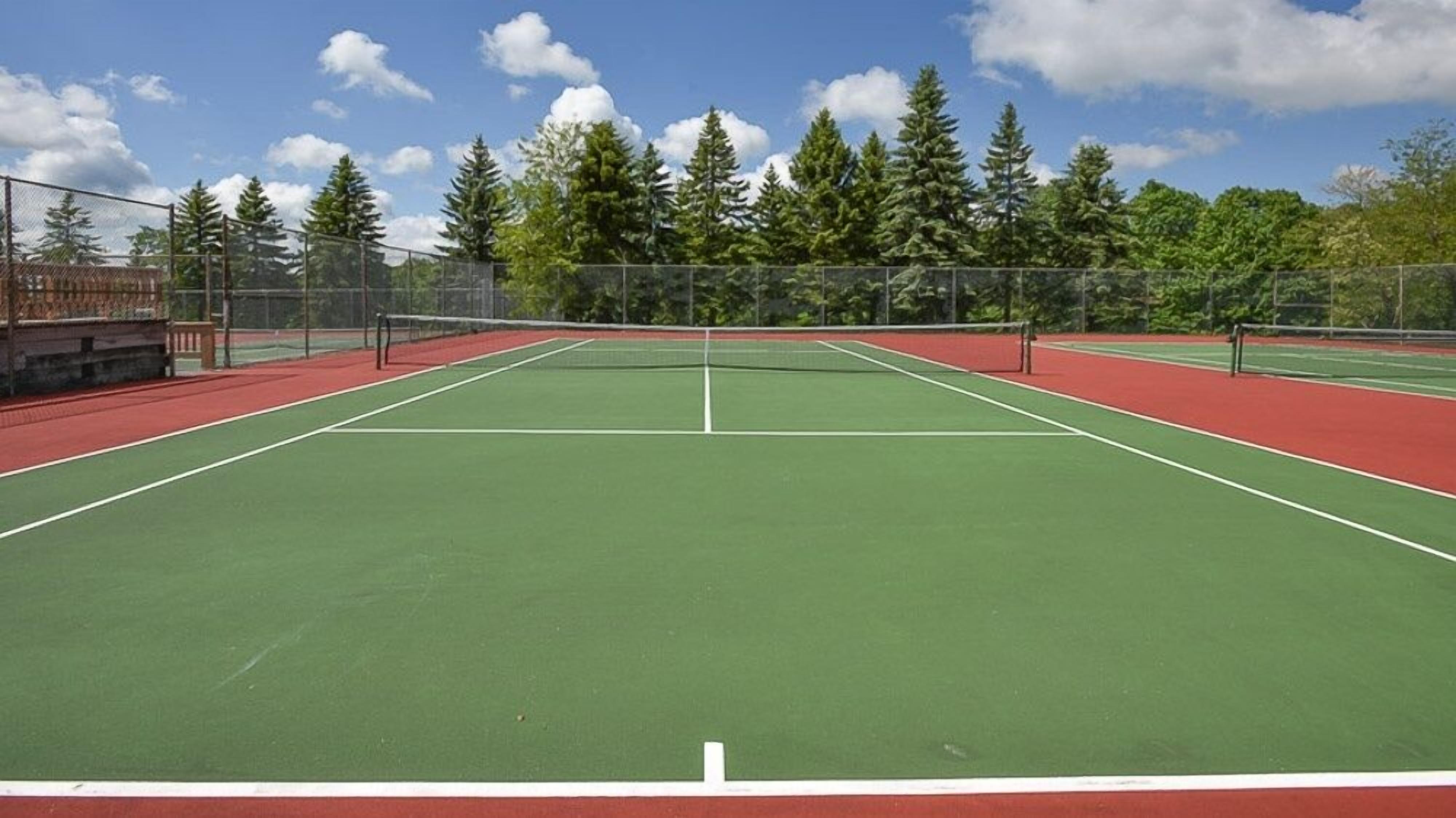 A tennis court with a net, surrounded by trees and a clear sky.