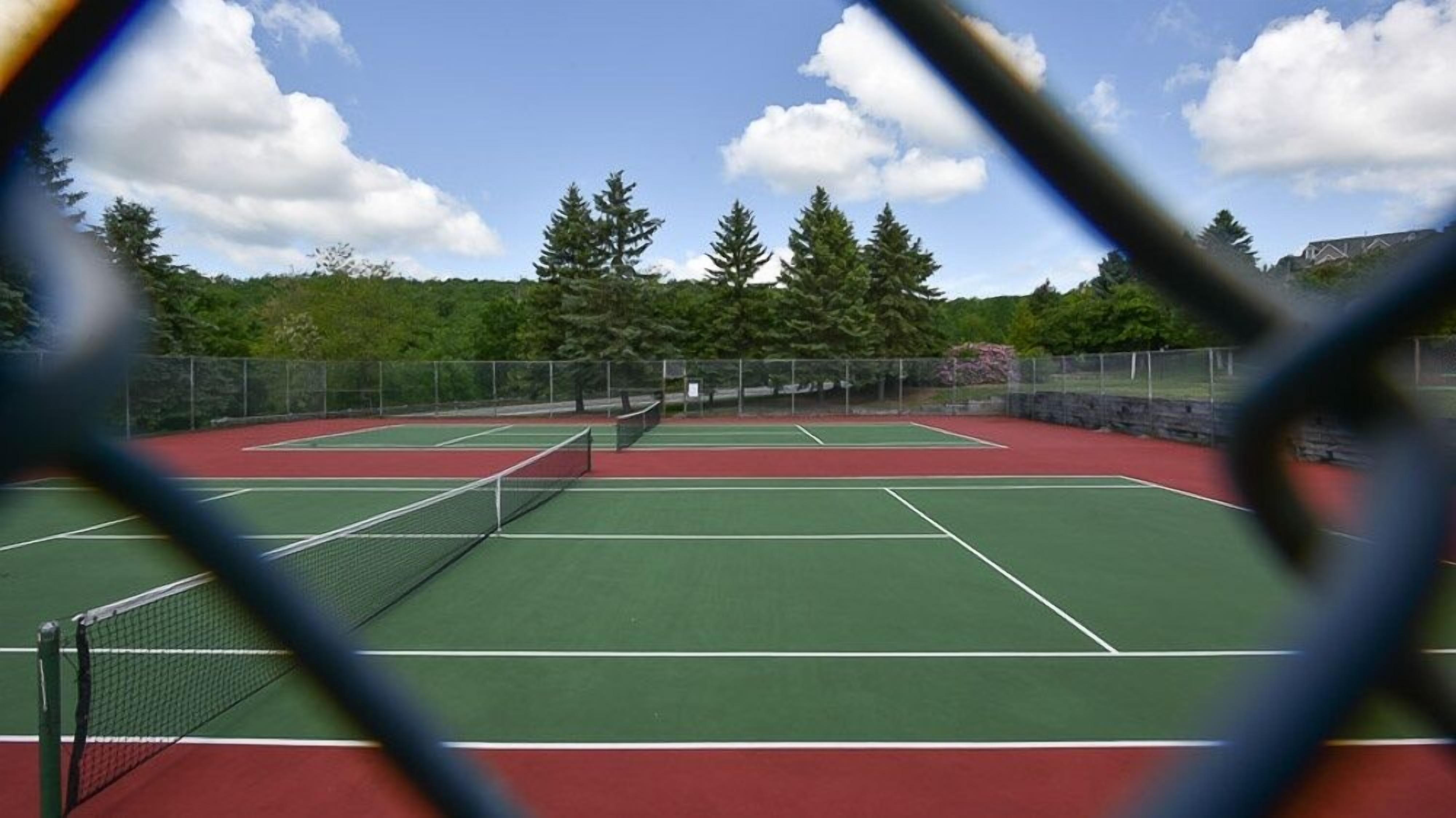 A tennis court with a net, surrounded by trees and a clear sky.