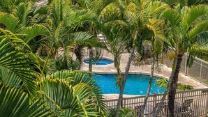 Ein Pool, umgeben von Palmen und einem weißen Zaun.