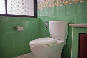 Ducha, secador de pelo, bidet, toallas