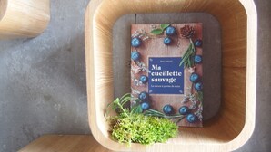 A wooden box with a book titled 'Ma cuillère sauvage' by Eric Varlet, surrounded by blueberries and greenery. - Self-catering ecogîte in the heart of the forest at La Chapelle-en-Vercors (La Chapelle-en-Vercors)