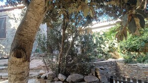 Un muro de piedra con un árbol en el centro, rodeado de diversas plantas y una cerca de metal.