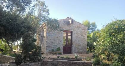 Sea, Nature and Relaxation (2) - Stintino