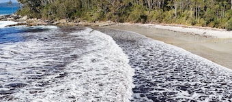 Serendipity Stays Jervis Bay - 5 Mins Walk to Beach