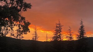 A sunset over a forest with silhouetted trees.