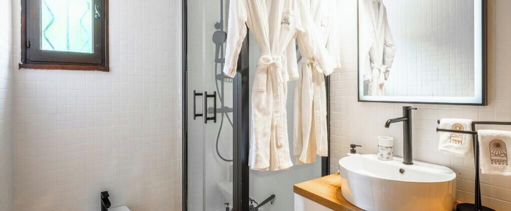 Shower, hair dryer, bidet, towels