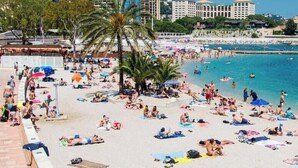 Une plage bondée où les gens se prélassent au soleil et se baignent, avec des palmiers et une mer d’un bleu limpide.