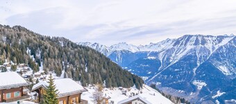 ベアグドーラ アッティカ