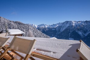 Basic Apartment (Chalet Onno Henny) | Property grounds