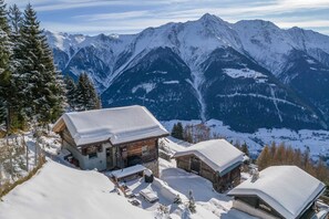 Basic Chalet | Exterior - Alphütte Ried (Bettmeralp)