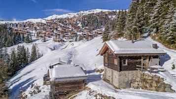 Basic Chalet | Exterior