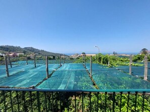 Property grounds - The Pozzillo Maison: Apartment Nerano and Punta Campanella (Massa Lubrense)