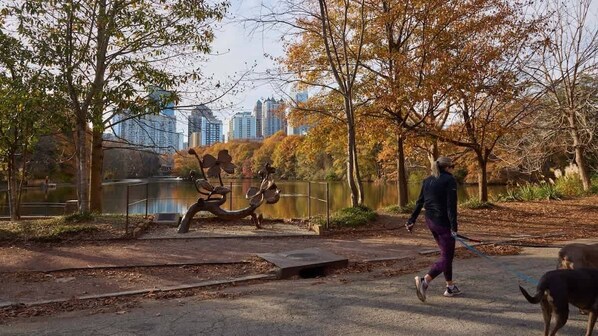 Imagen sin descripción, 1 de 16, botón