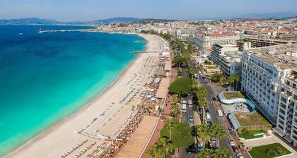 Magnificent villa close to the beaches of Cannes and Golfe Juan/Juan les pins