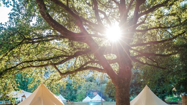 Un campamento con tiendas de campaña, dos sillas y un árbol grande.