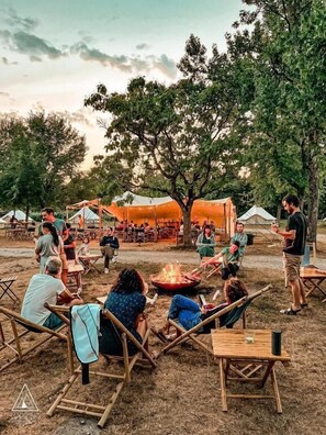 Property grounds - Lodging Nature Camp Châteaux de la Loire (Cellettes)