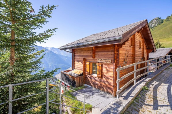 Basic Chalet | Exterior - Chalet Collini (Riederalp)