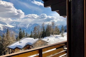 Basic-Chalet | Unterkunftsgelände
