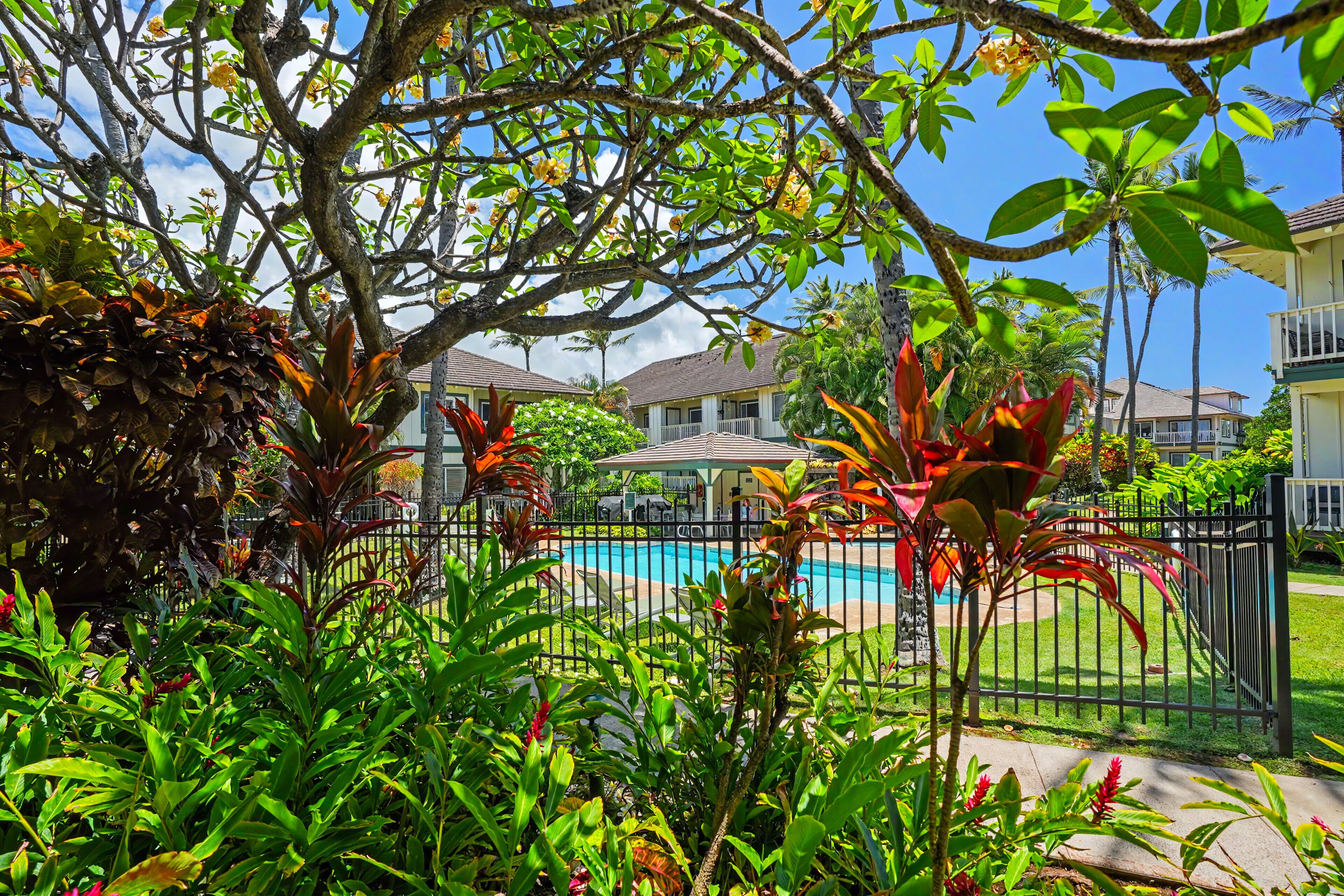 Una piscina rodeada de abundante vegetación y un área cercada.