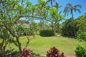 Ein gepflegter Garten mit verschiedenen Pflanzen und einem Haus im Hintergrund.