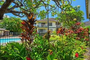 A pool surrounded by lush tropical plants and a two-story building with balconies. - Aston Poipu Kai Kauai 412 | Lush Garden Views – Pool & Hot Tub (Koloa)