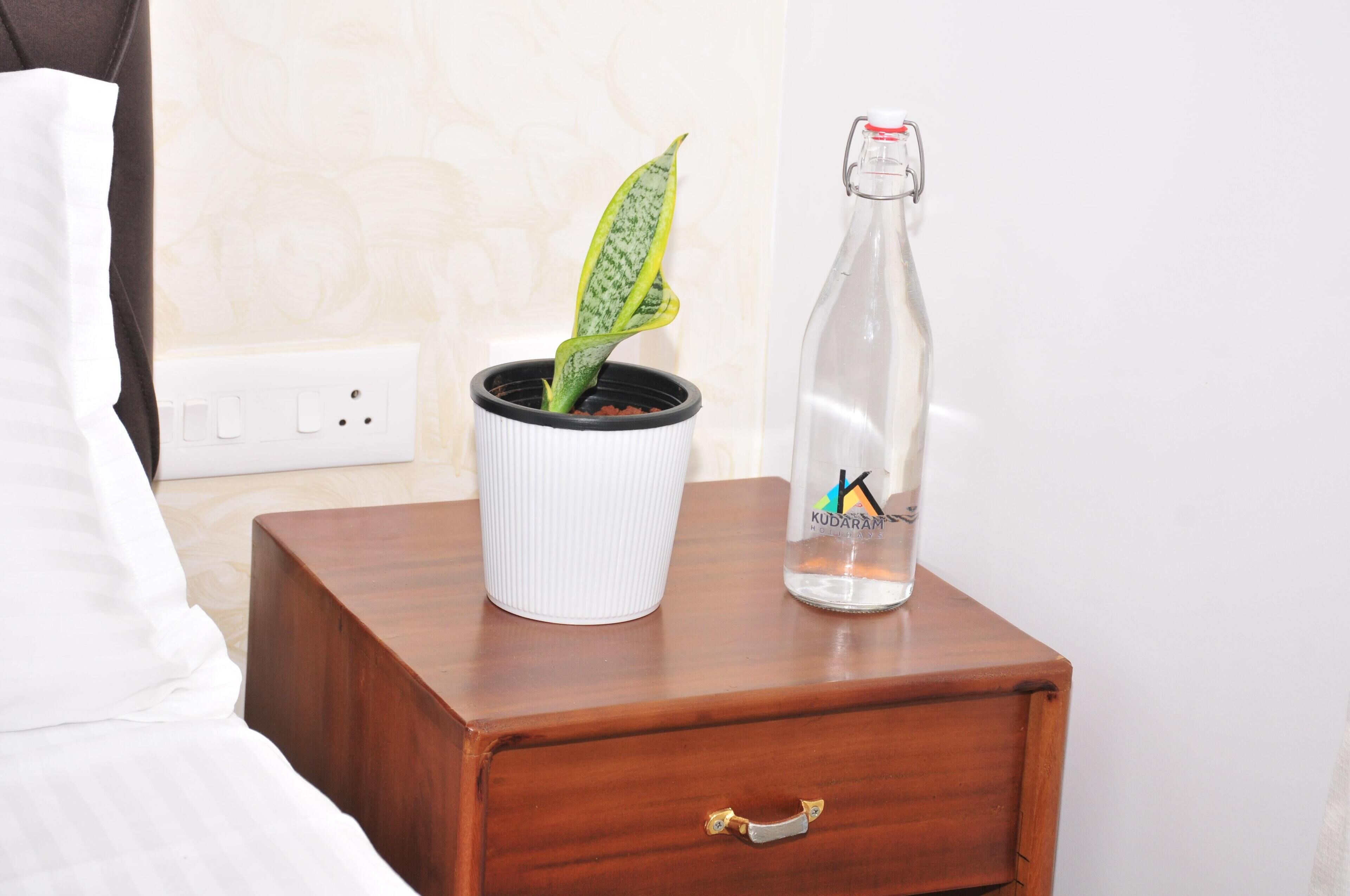 Una mesita de noche de madera con una planta en maceta y una botella de agua Kudapani.
