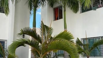 Detalle exterior