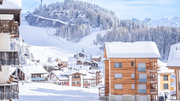 Unclassified image, 1 of 32, button - Valaisia 145 (Riederalp)