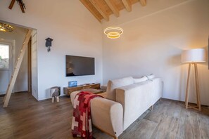 Apartamento básico | Zona de estar | Una televisión, una chimenea, un ordenador, libros