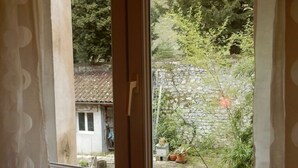 Una ventana con vistas a un muro de piedra y follaje.