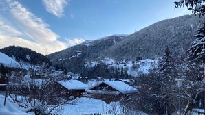 Unclassified image, 4 of 31, button - Chalet Castellani Duplex (Fiesch)