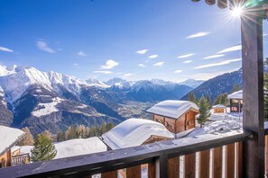 ベーシック アパートメント | 施設の敷地