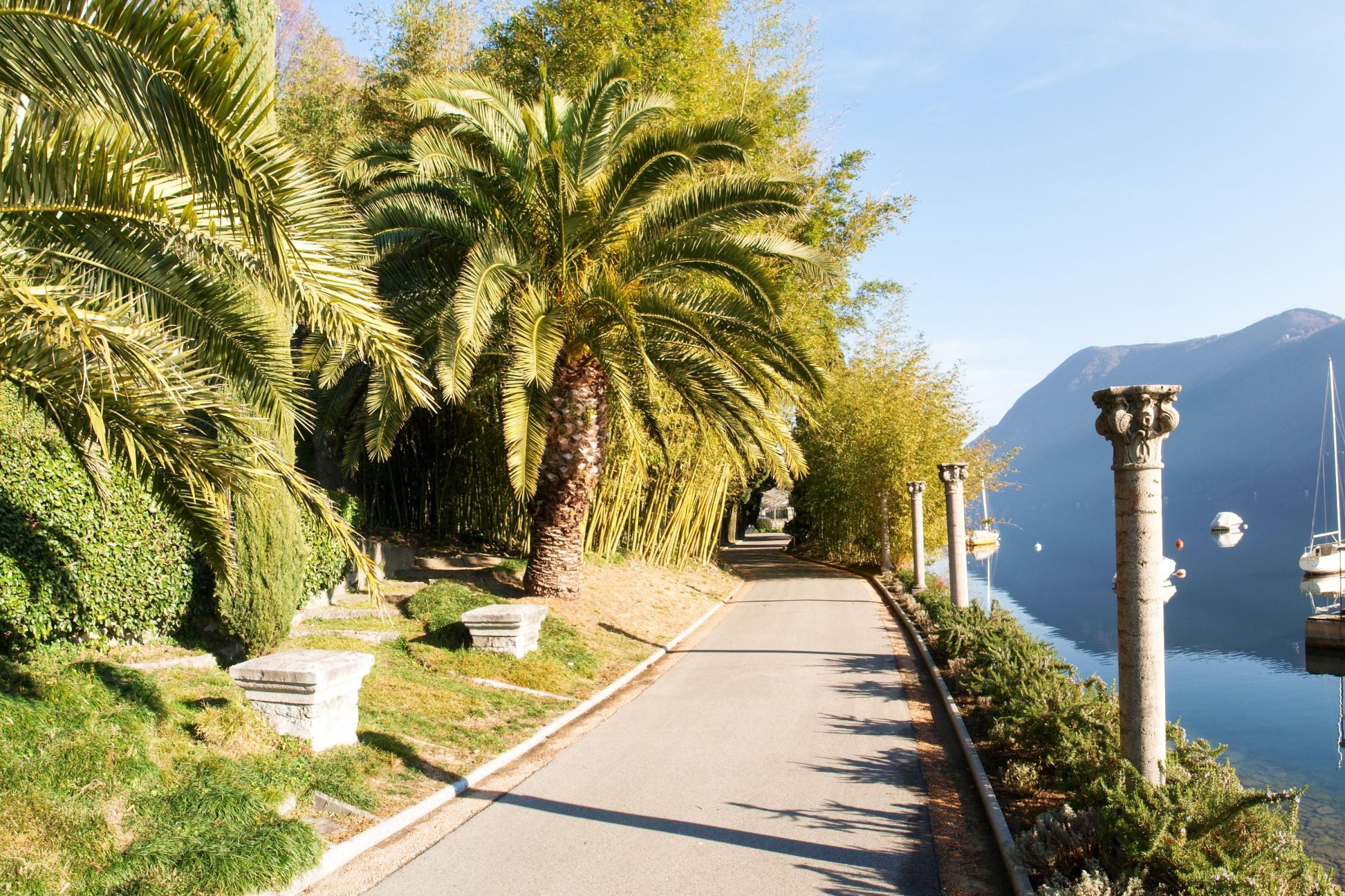 A pathway lined with palm trees and stone benches, leading to a body of water with boats.