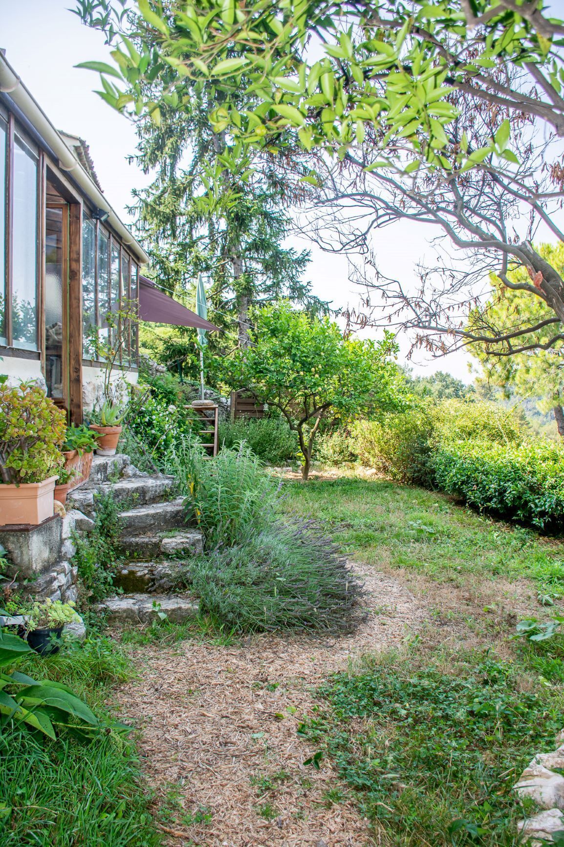 Ein Garten mit Steinstufen, die zu einer Holzterrasse führen, umgeben von verschiedenen Pflanzen und Bäumen.