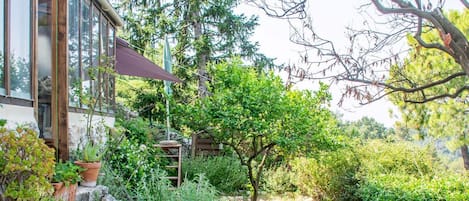 Ein Garten mit Steinstufen, die zu einer Holzterrasse führen, umgeben von verschiedenen Pflanzen und Bäumen.
