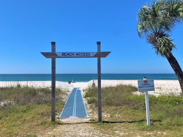 해변에 위치, 백사장, 낚시