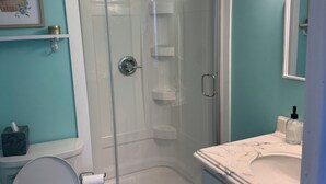 Un baño con ducha de vidrio, inodoro blanco y tocador con espejo.