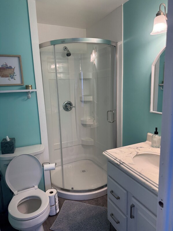 Shower, hair dryer, towels, toilet paper