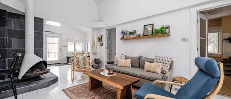 Una televisión, una chimenea, libros