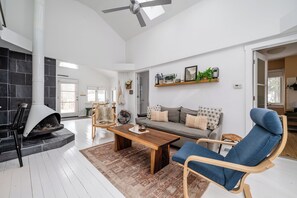 TV, fireplace, books