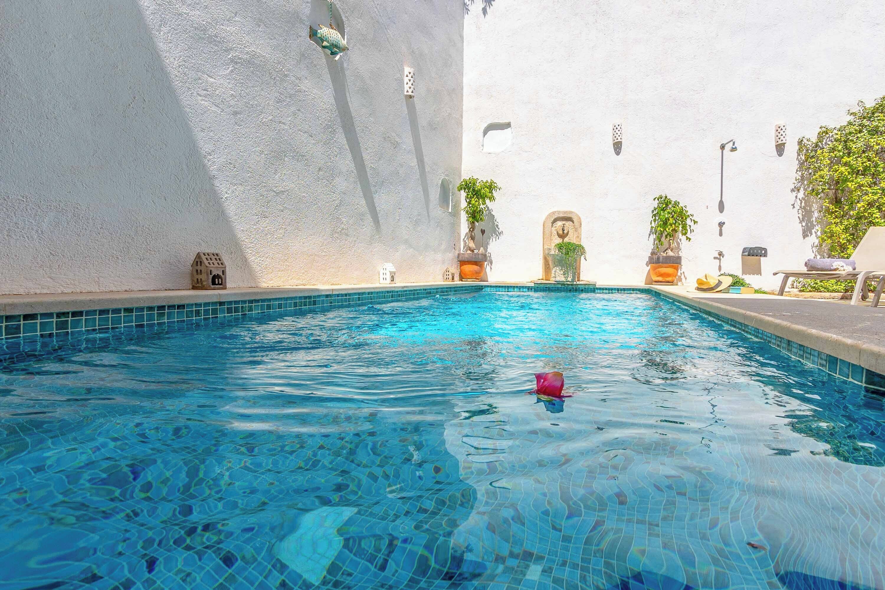 Une piscine d’un bleu éclatant, bordée de carreaux, entourée de murs blancs et de plantes en pot.