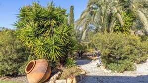 Un jardin avec des palmiers, une balançoire et un grand pot en argile.