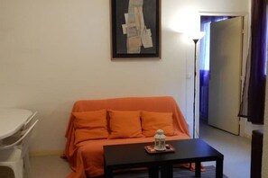 电视、DVD 播放器、书